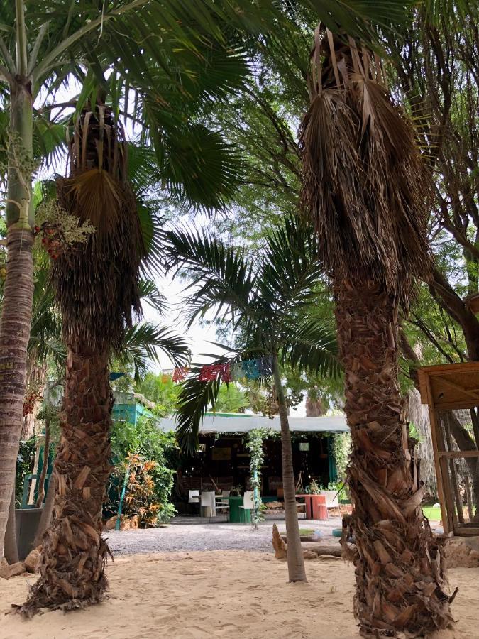 Tropical Morabeza Apartment Santa Maria Exterior photo